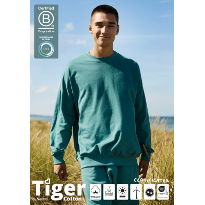 Image of Neutral Tiger Cotton Organic in Conversion Oversized Sweatshirt